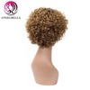 Perruques courtes bouclées profondes 10 pouces coiffes humaines perruques bouclées Remy Hair Wig pour femmes noires