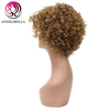 Perruques courtes bouclées profondes 10 pouces coiffes humaines perruques bouclées Remy Hair Wig pour femmes noires